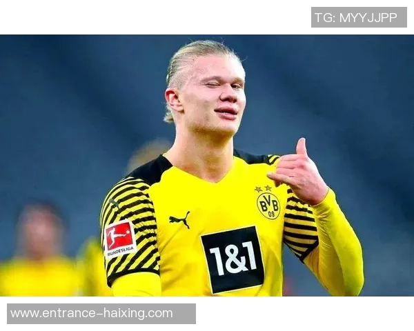 哈兰德：足球场上的新星崛起与未来发展潜力分析